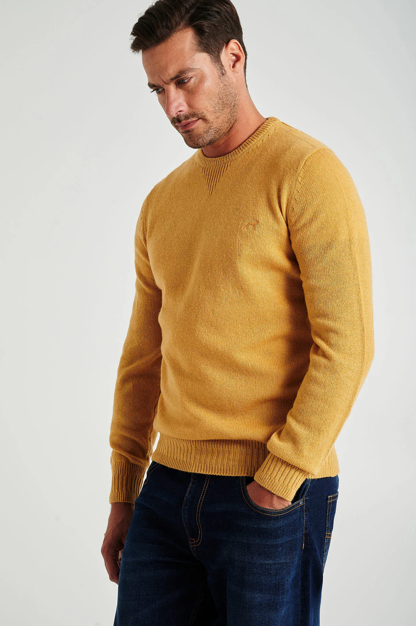 Men's machine washable crew neck sweater