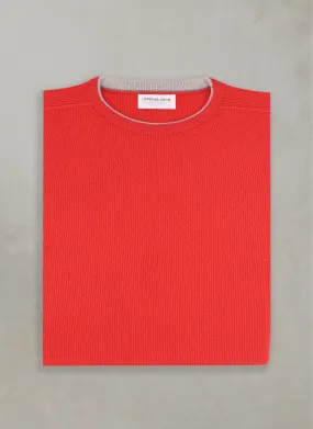 Men's Tollegno Merino Wool Crew Neck Sweater in Coral