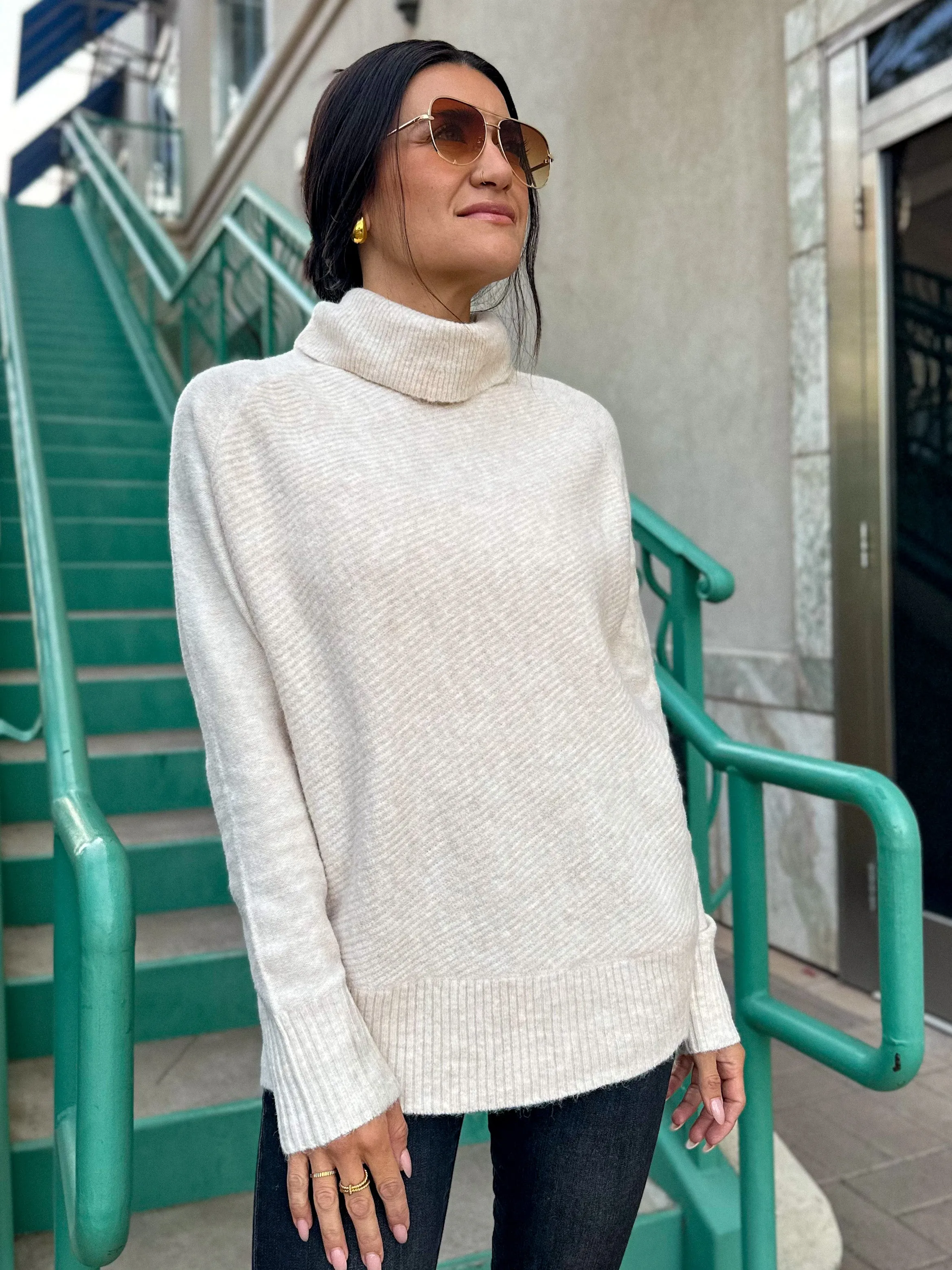 Oat Oversized Turtleneck Knit Sweater