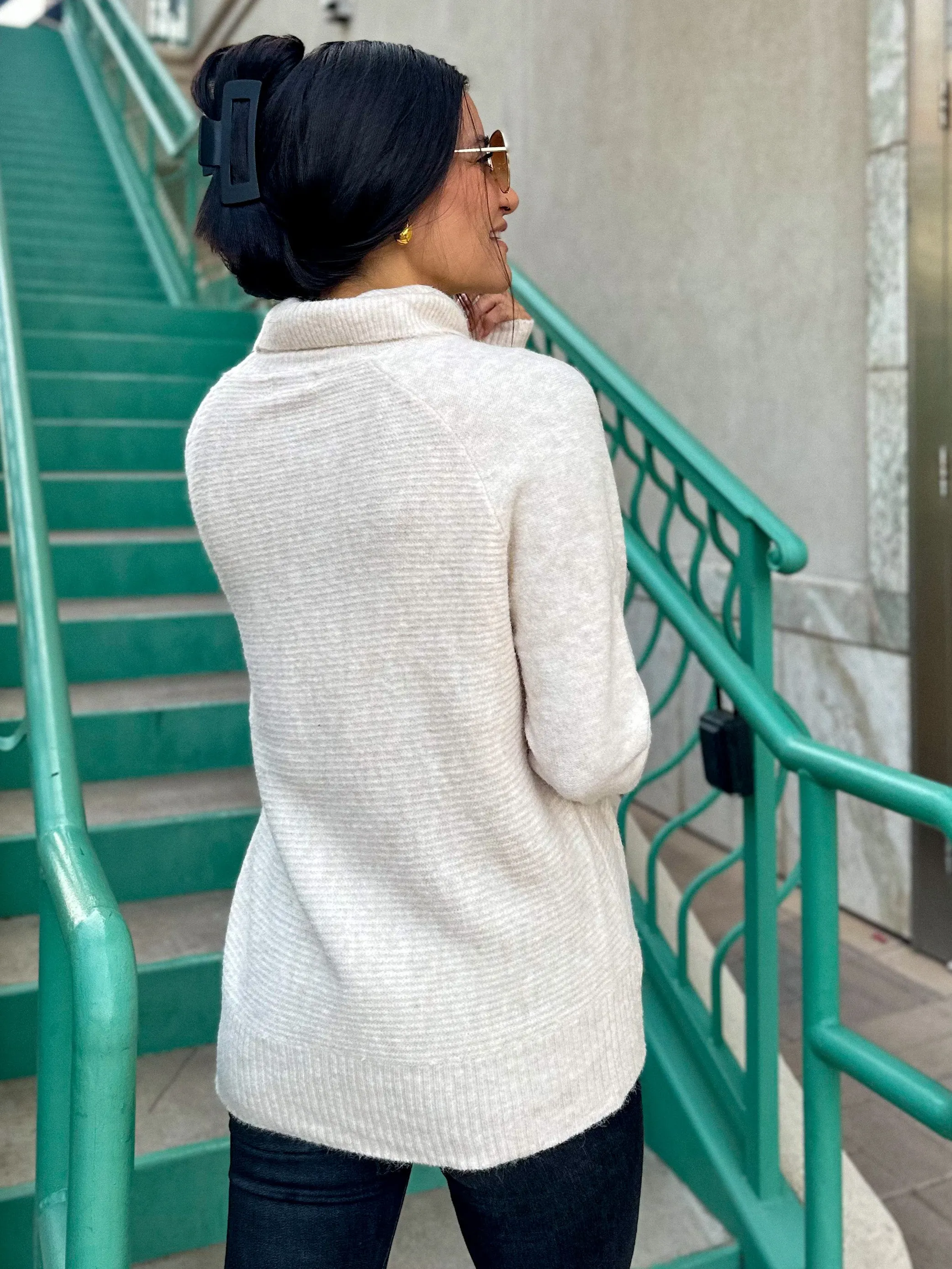 Oat Oversized Turtleneck Knit Sweater