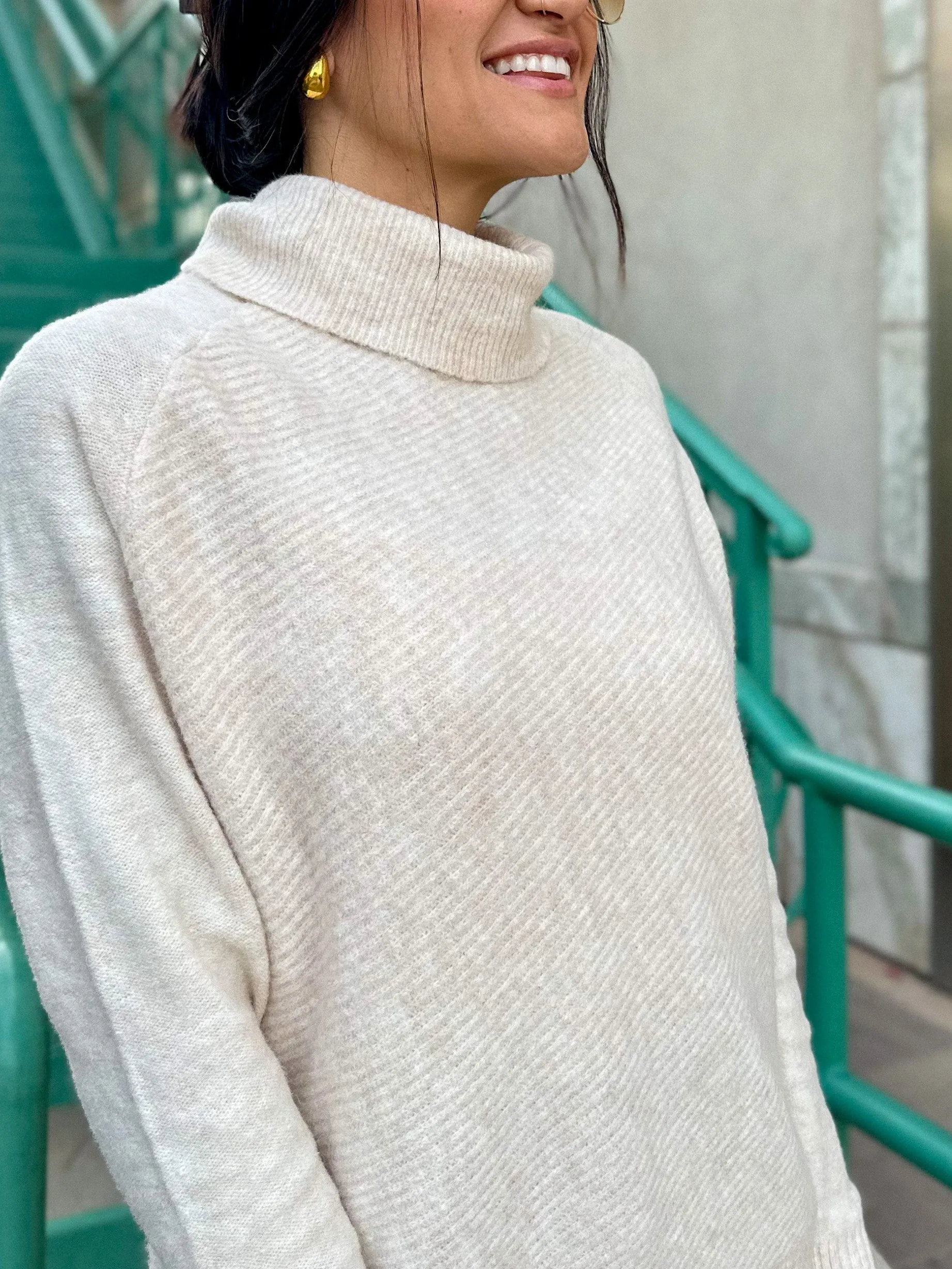 Oat Oversized Turtleneck Knit Sweater