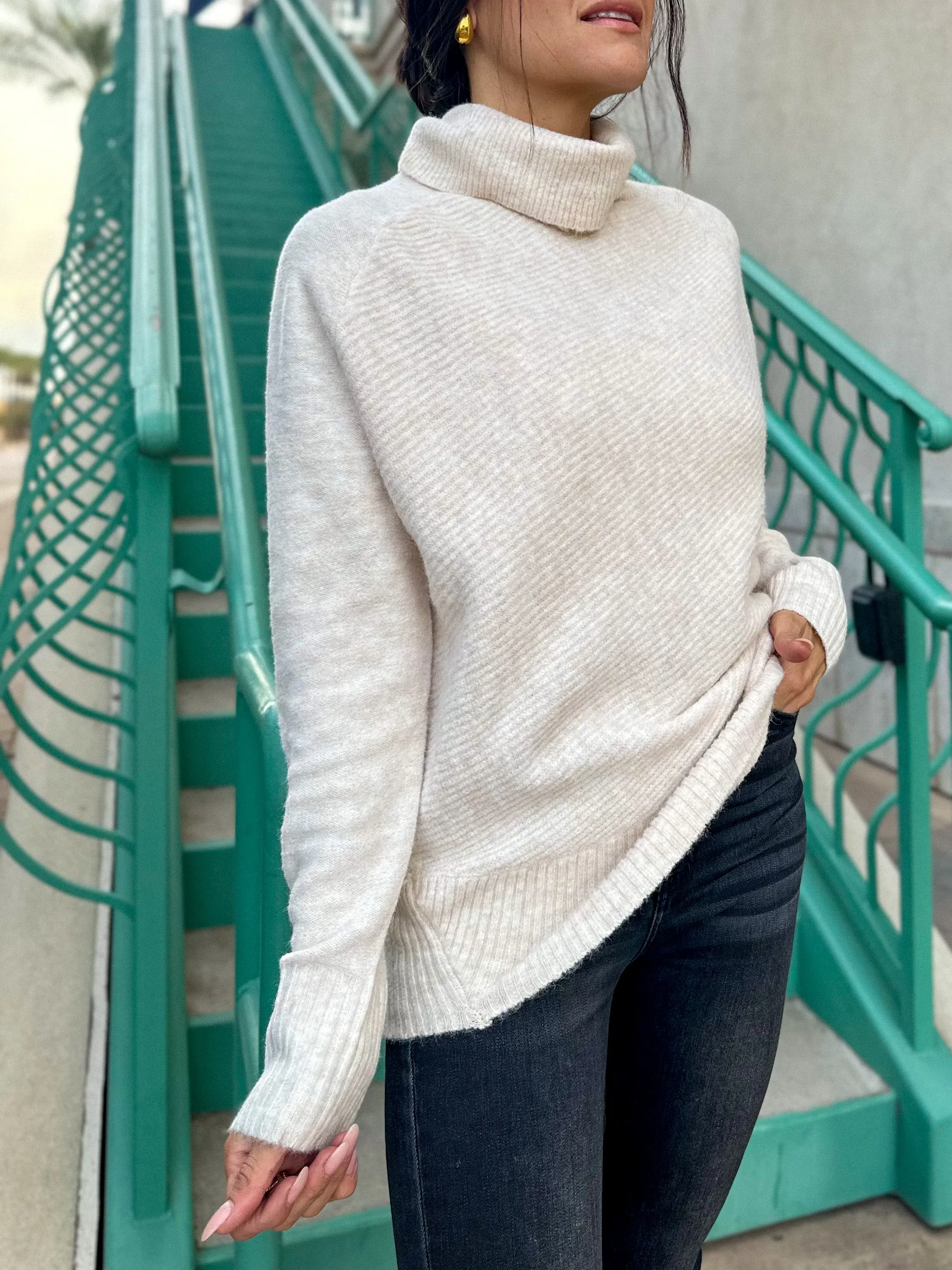 Oat Oversized Turtleneck Knit Sweater