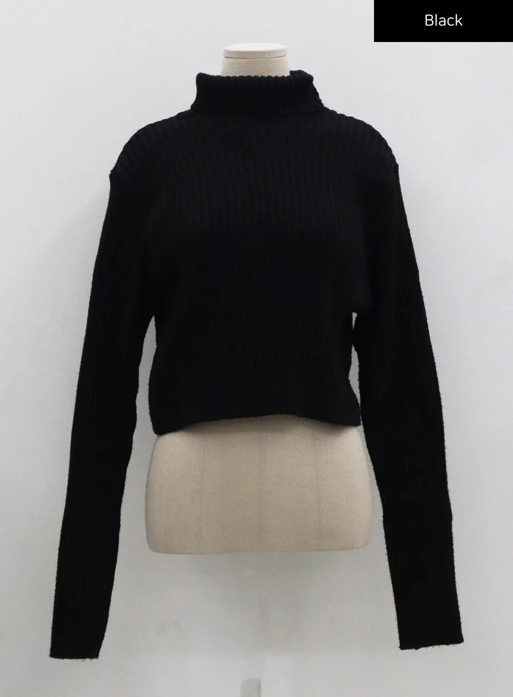 Turtleneck Crop Knit CO20