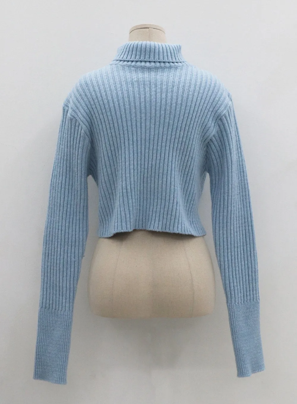 Turtleneck Crop Knit CO20