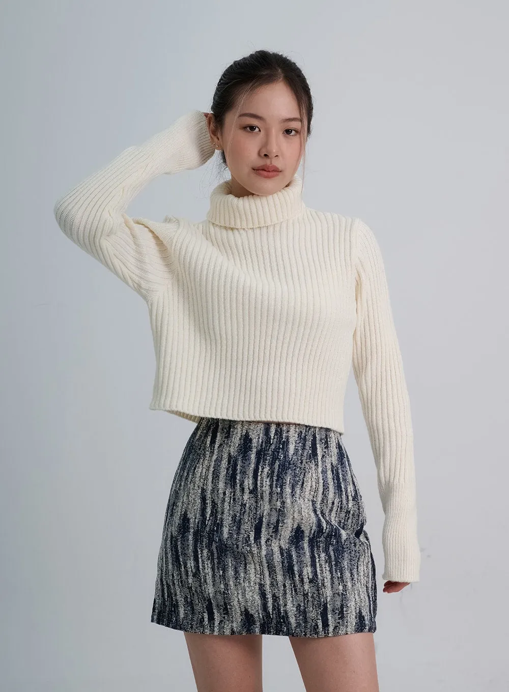 Turtleneck Crop Knit CO20