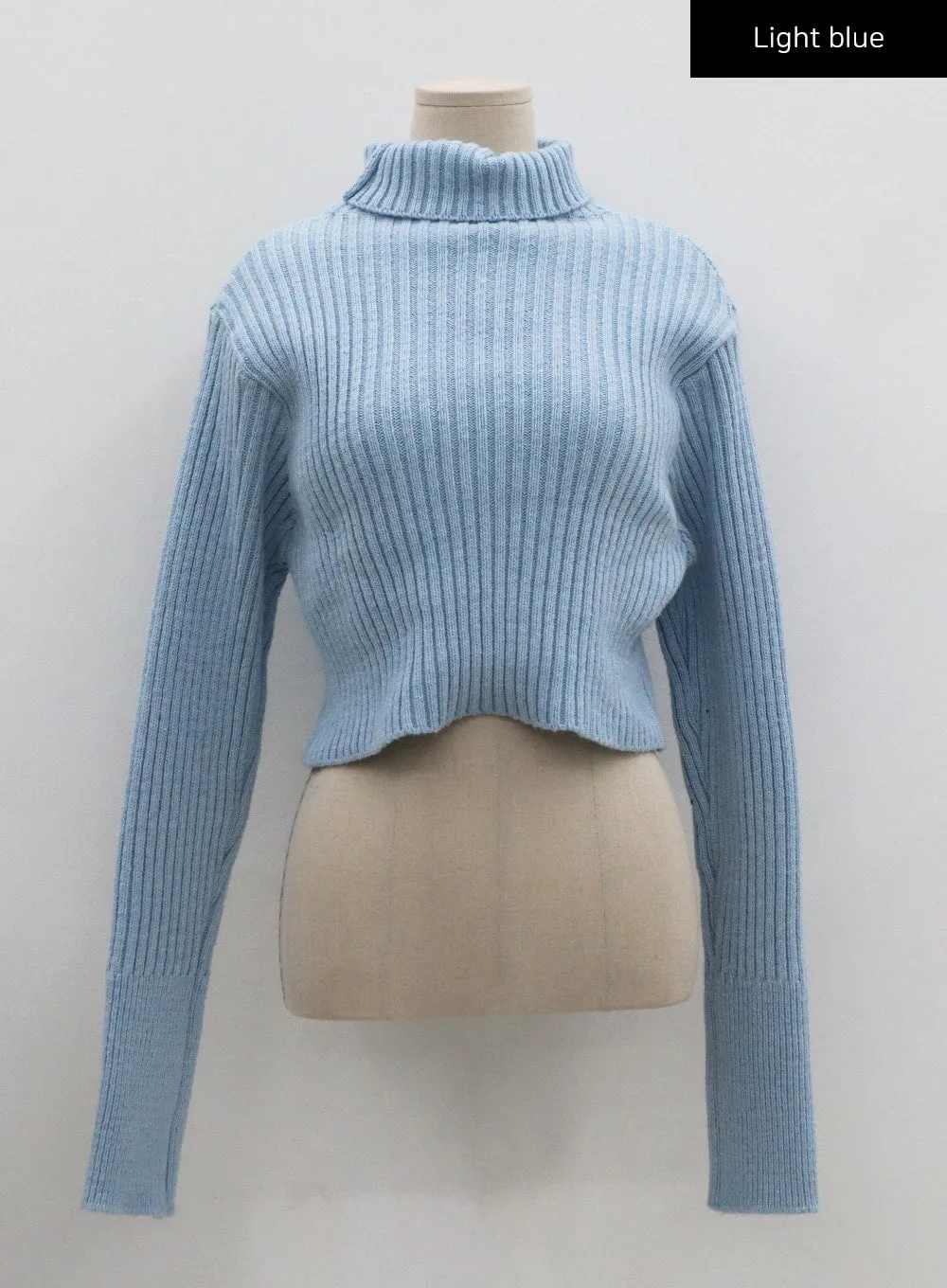 Turtleneck Crop Knit CO20