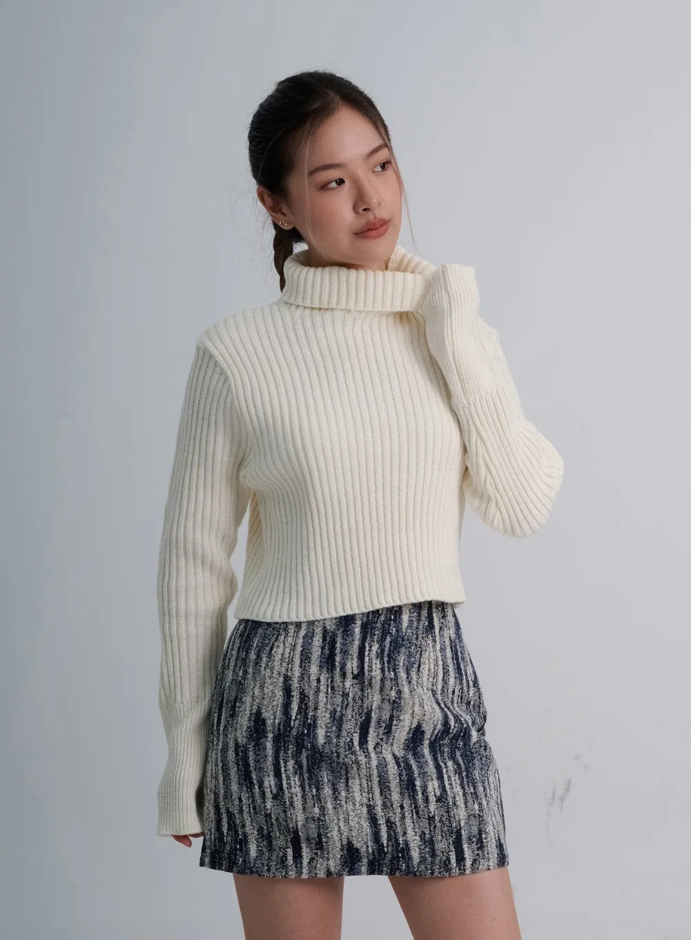 Turtleneck Crop Knit CO20