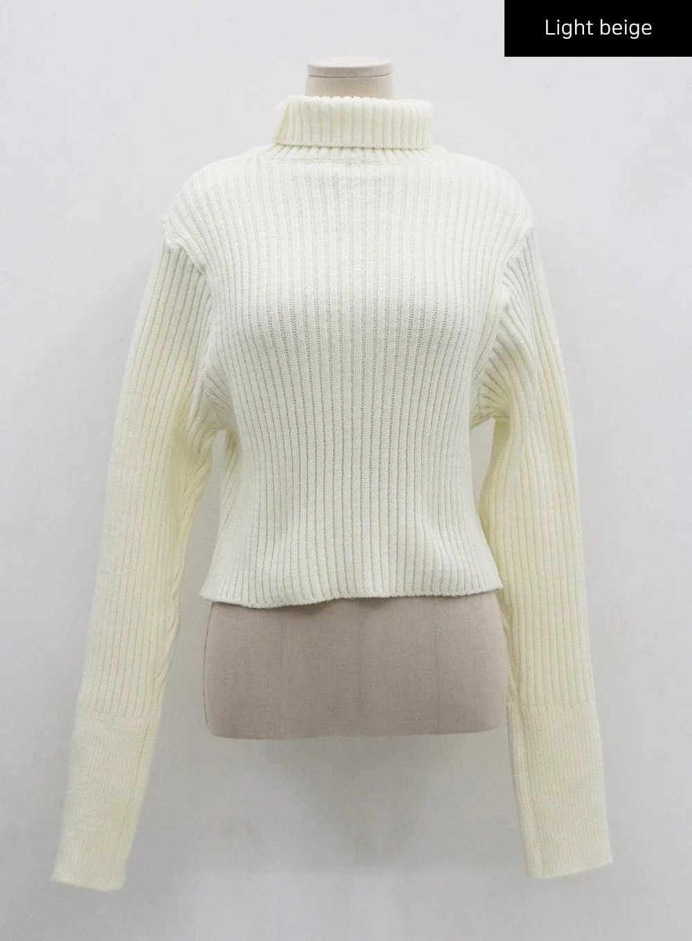 Turtleneck Crop Knit CO20