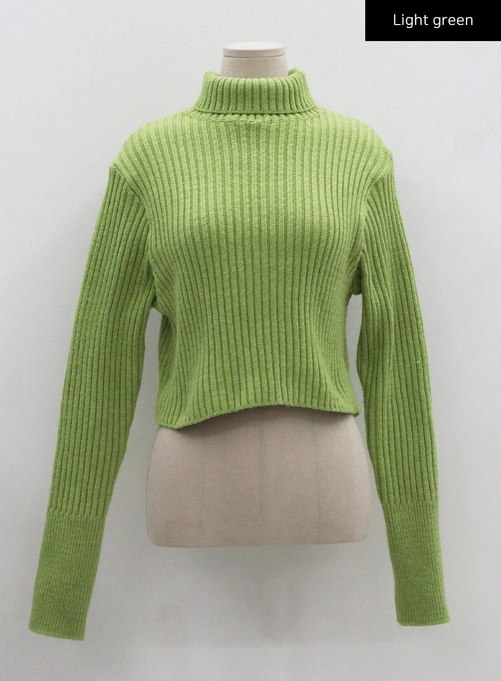 Turtleneck Crop Knit CO20