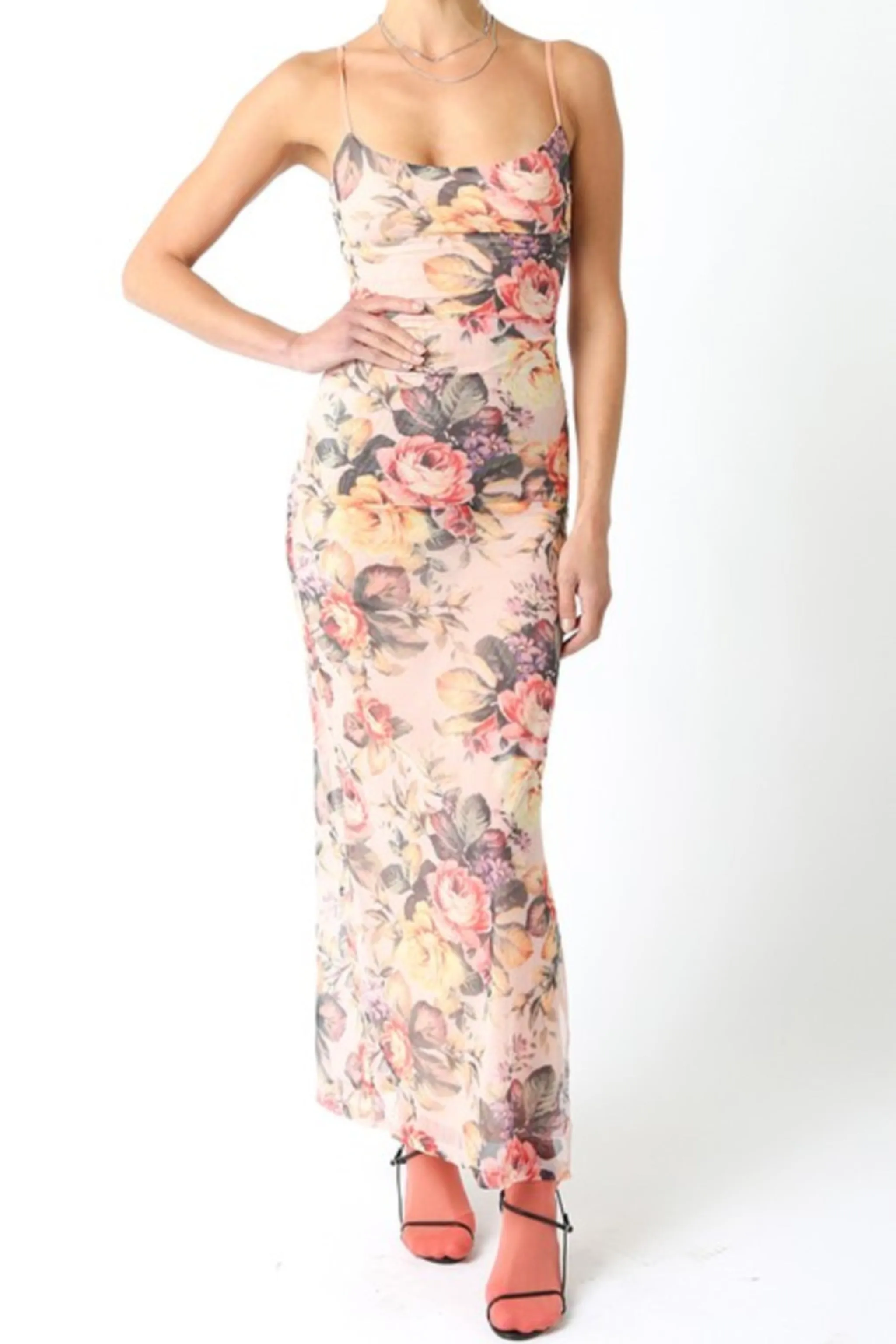 Waitlist 2/5 ♥ Dionne Sleeveless Mesh Floral Print Maxi Dress Blush