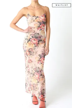 Waitlist 2/5 ♥ Dionne Sleeveless Mesh Floral Print Maxi Dress Blush