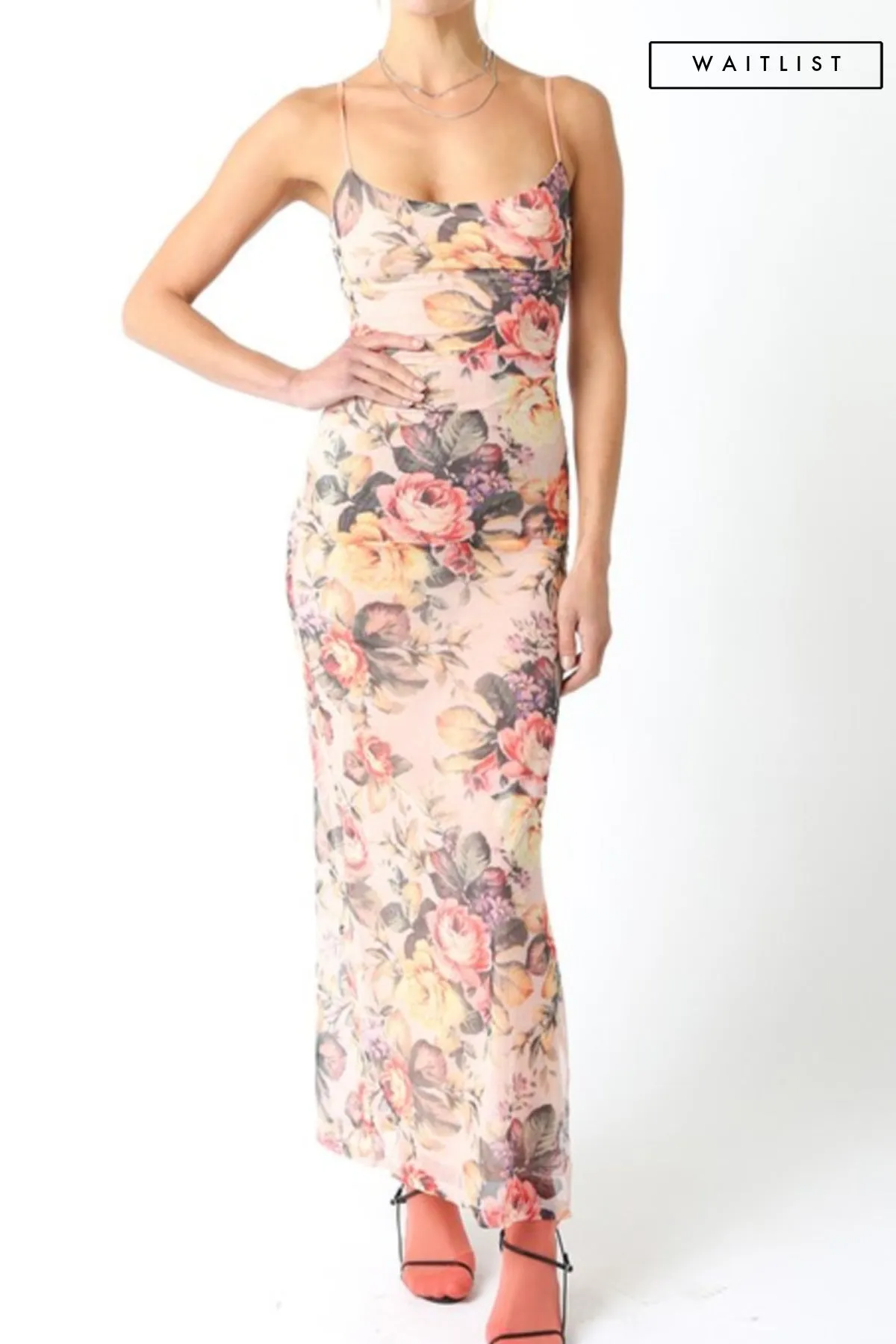 Waitlist 2/5 ♥ Dionne Sleeveless Mesh Floral Print Maxi Dress Blush